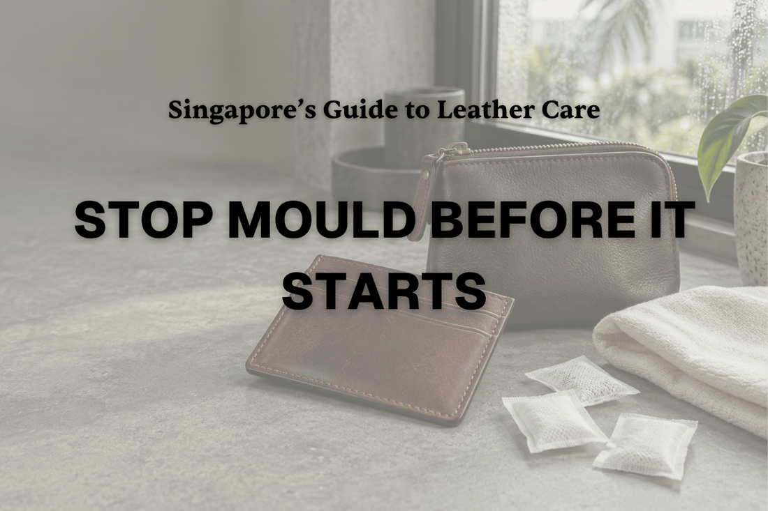 How to Prevent Mould on Leather in Singapore