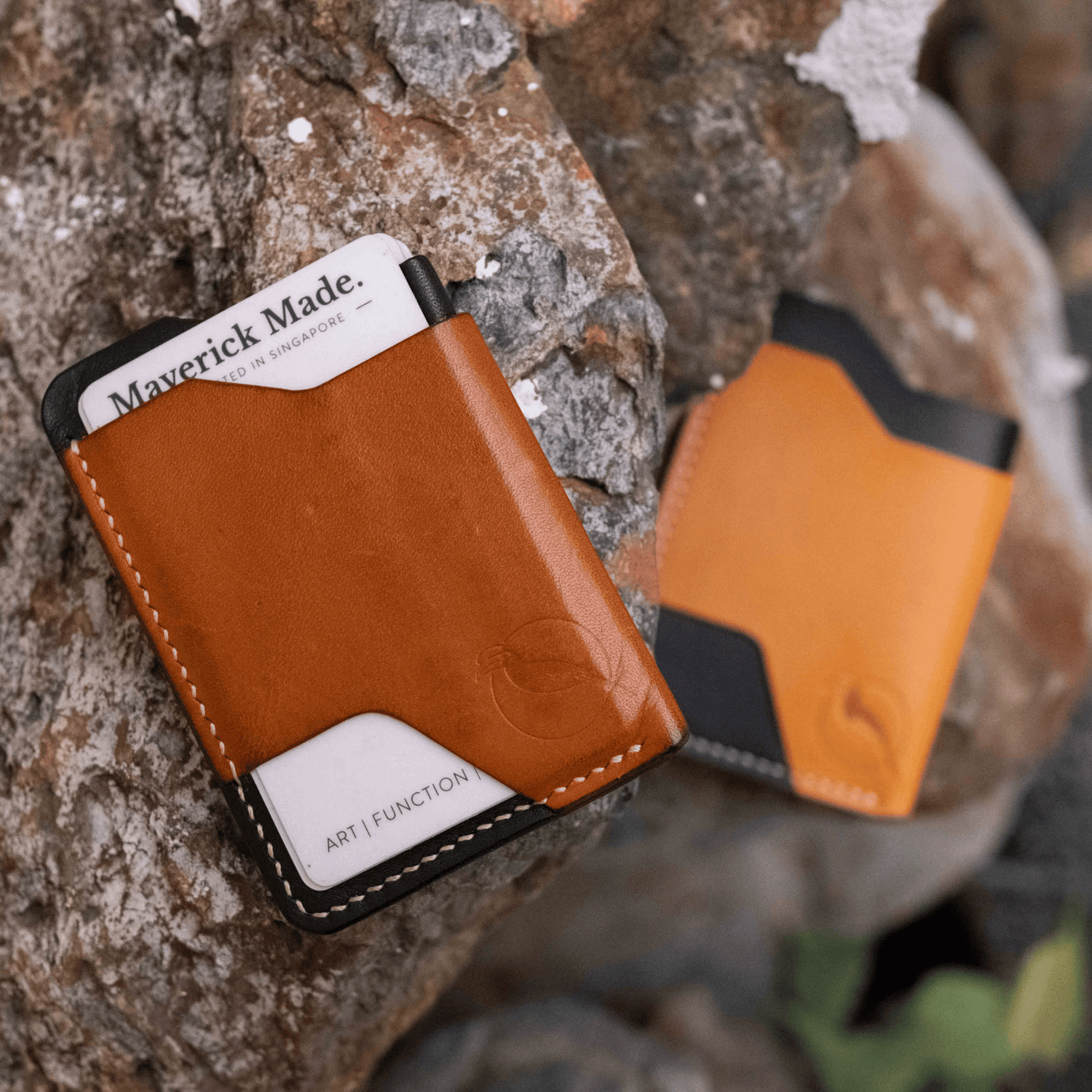 All Card Holders