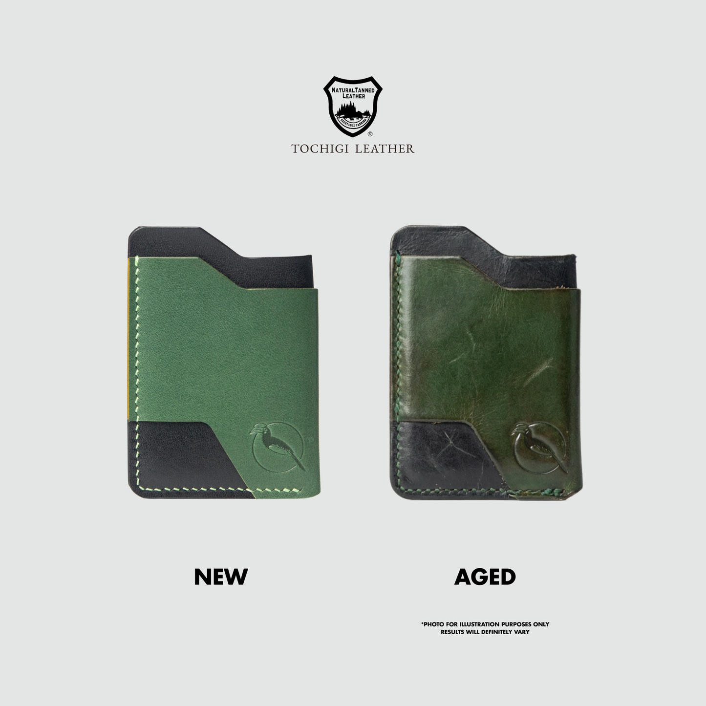 The Innocent Cardholder - Emerald