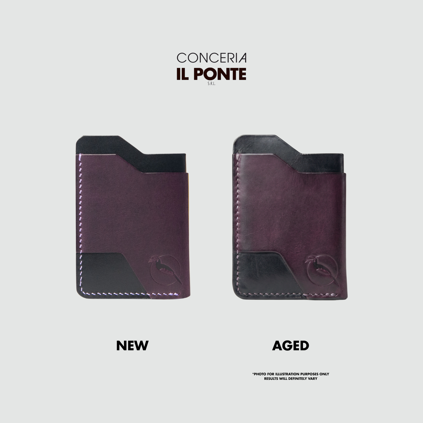 The Innocent Cardholder - Plum